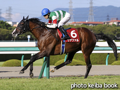 カラープリント(アルミ枠付き)2015年9月27日阪神11R 神戸新聞杯(リアファル)