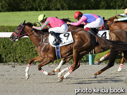 カラープリント(アルミ枠なし)2015年9月27日阪神12R 3歳上1000万下(パーティードレス)