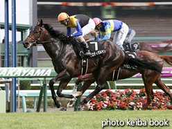 カラープリント(アルミ枠なし)2015年9月27日中山9R 芙蓉ステークス(プロディガルサン)