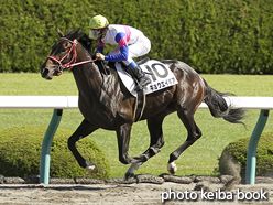 カラープリント(アルミ枠なし)2015年10月3日阪神1R 2歳未勝利(キョウエイギア)