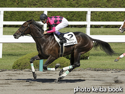 カラープリント(アルミ枠なし)2015年10月3日阪神6R 2歳新馬(スマートシャレード)