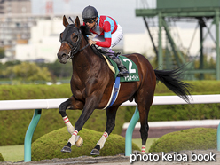 カラープリント(アルミ枠付き)2015年10月3日阪神11R シリウスステークス(アウォーディー)