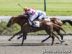 カラープリント(アルミ枠なし)2015年10月3日中山4R 障害未勝利(ラグジードライブ)