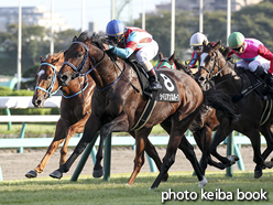 カラーパネル2015年10月3日中山11R 秋風ステークス(シベリアンスパーブ)