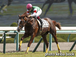 カラーパネル2015年10月4日阪神2R 2歳未勝利(カープストリーマー)