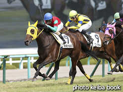 カラーパネル2015年10月4日阪神7R 3歳上500万下(マイネリベルタス)