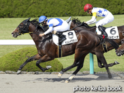 カラーパネル2015年10月4日阪神8R 3歳上500万下(サンレイクウッド)