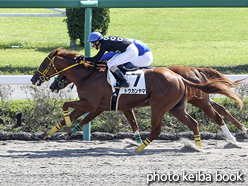 カラープリント(アルミ枠なし)2015年10月4日中山1R 2歳未勝利(ドウカンヤマ)