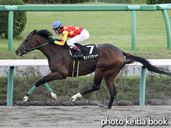 カラープリント(アルミ枠なし)2015年10月4日中山12R 内房ステークス(モンドクラッセ)