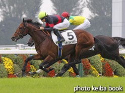 カラープリント(アルミ枠なし)2015年10月10日京都2R 2歳未勝利(レヴィンインパクト)