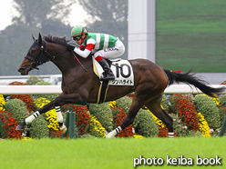 カラーパネル2015年10月10日京都5R 2歳新馬(シンハライト)