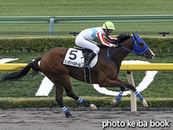 カラーパネル2015年10月10日東京4R 障害未勝利(ミュゼリトルガール)