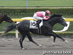 カラーパネル2015年10月10日東京8R 3歳上500万下(オホーツク)