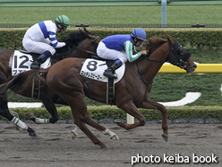 カラーパネル2015年10月11日東京8R 3歳上500万下(マッチレスヒーロー)