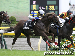 カラープリント(アルミ枠なし)2015年10月11日東京9R 六社特別(ロジチャリス)