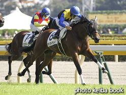 カラーパネル2015年10月12日東京5R 2歳新馬(ラベンダーヴァレイ)