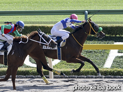 カラーパネル2015年10月12日東京6R 3歳上500万下(トキノセレブ)