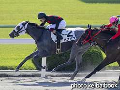 カラープリント(アルミ枠なし)2015年10月17日京都1R 2歳未勝利(バオバブ)