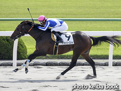 カラープリント(アルミ枠なし)2015年10月17日京都4R 2歳新馬(ドライバーズハイ)