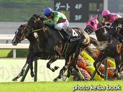 カラープリント(アルミ枠なし)2015年10月17日京都11R 清水ステークス(タガノエトワール)