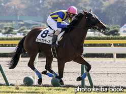 カラープリント(アルミ枠付き)2015年10月17日新潟1R 障害未勝利(シャドウカラーズ)