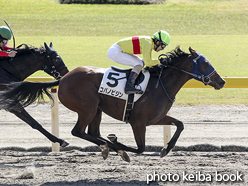 カラーパネル2015年10月17日新潟2R 2歳未勝利(コパノビジン)