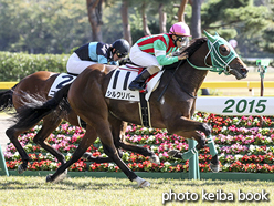 カラープリント(アルミ枠なし)2015年10月17日新潟5R 2歳未勝利(シルクリバー)