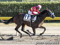 カラーパネル2015年10月17日新潟9R 3歳上500万下(ゴールドリーガル)