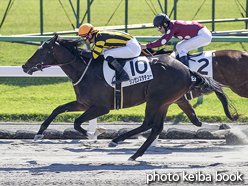 カラーパネル2015年10月18日京都3R 2歳新馬(シンゼンスタチュー)