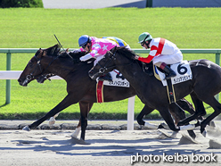 カラープリント(アルミ枠なし)2015年10月18日京都4R 3歳上500万下(ミキノトロンボーン)