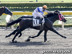 カラーパネル2015年10月18日東京6R 3歳上500万下(ディアグリスター)