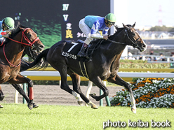 カラープリント(アルミ枠なし)2015年10月18日東京11R アイルランドトロフィー(ヒストリカル)