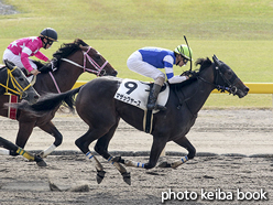 カラープリント(アルミ枠なし)2015年10月18日新潟1R 2歳未勝利(マザックヤース)