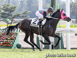 カラープリント(アルミ枠付き)2015年10月18日新潟3R 2歳未勝利(ダンツプリウス)