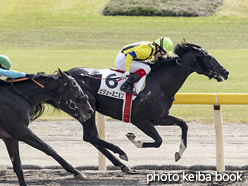 カラープリント(アルミ枠付き)2015年10月18日新潟4R 3歳上500万下(ビジューミニョン)