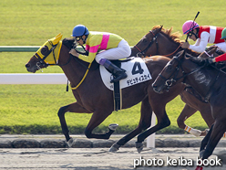 カラーパネル2015年10月24日京都1R 2歳未勝利(デピュティスカイ)