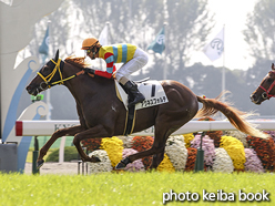 カラープリント(アルミ枠なし)2015年10月24日京都2R 2歳未勝利(アグネスフォルテ)