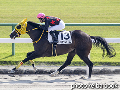 カラーパネル2015年10月24日京都4R 2歳新馬(クリスタルタイソン)