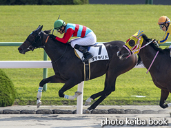 カラーパネル2015年10月24日京都6R 3歳上500万下(タマモリド)