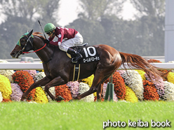 カラーパネル2015年10月24日京都9R 壬生特別(ローレルベローチェ)