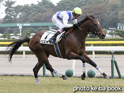 カラープリント(アルミ枠なし)2015年10月24日新潟1R 障害オープン(パスティ)