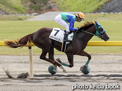 カラーパネル2015年10月24日新潟2R 2歳未勝利(レディートゥーゴー)