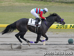 カラーパネル2015年10月24日新潟8R 3歳上500万下(タマモマズルカ)