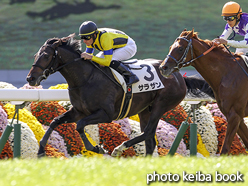 カラーパネル2015年10月25日京都3R 2歳未勝利(サラザン)