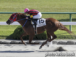 カラープリント(アルミ枠付き)2015年10月25日京都6R 3歳上500万下(エイシンラナウェー)