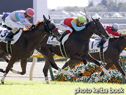 カラーパネル2015年10月25日東京1R 2歳未勝利(ブルーオリエント)