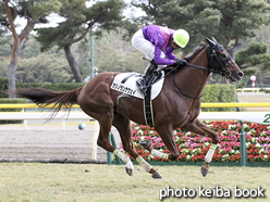 カラープリント(アルミ枠なし)2015年10月25日新潟4R 障害未勝利(カシノランナウェイ)