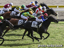 カラープリント(アルミ枠なし)2015年10月25日新潟7R 3歳上500万下(アースプレイ)