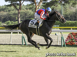 カラーパネル2015年10月25日新潟9R 3歳上500万下(トーホウスペンサー)