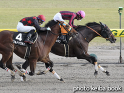 カラープリント(アルミ枠なし)2015年10月25日新潟11R 北陸ステークス(ミリオンヴォルツ)